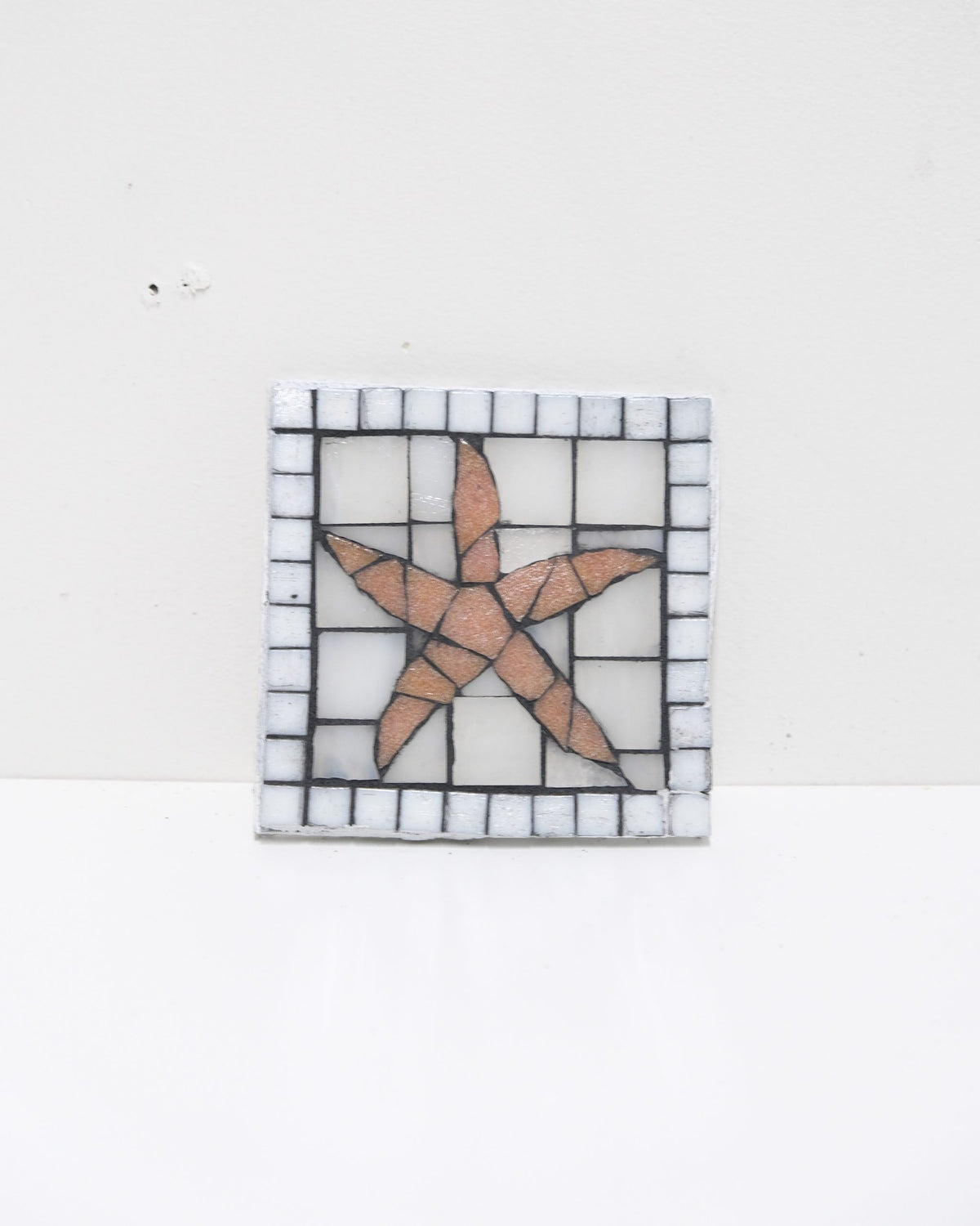 Sea Star Coaster image 0