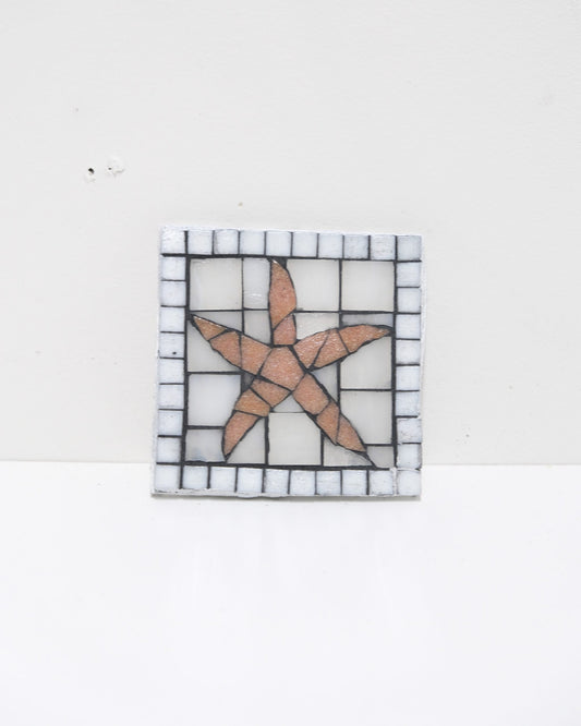 Sea Star Coaster image 0