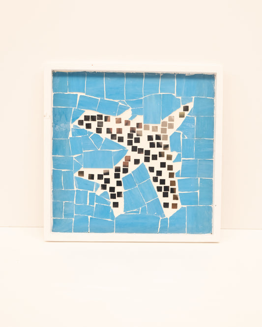 "Jet in The Sky" Shadow Box
