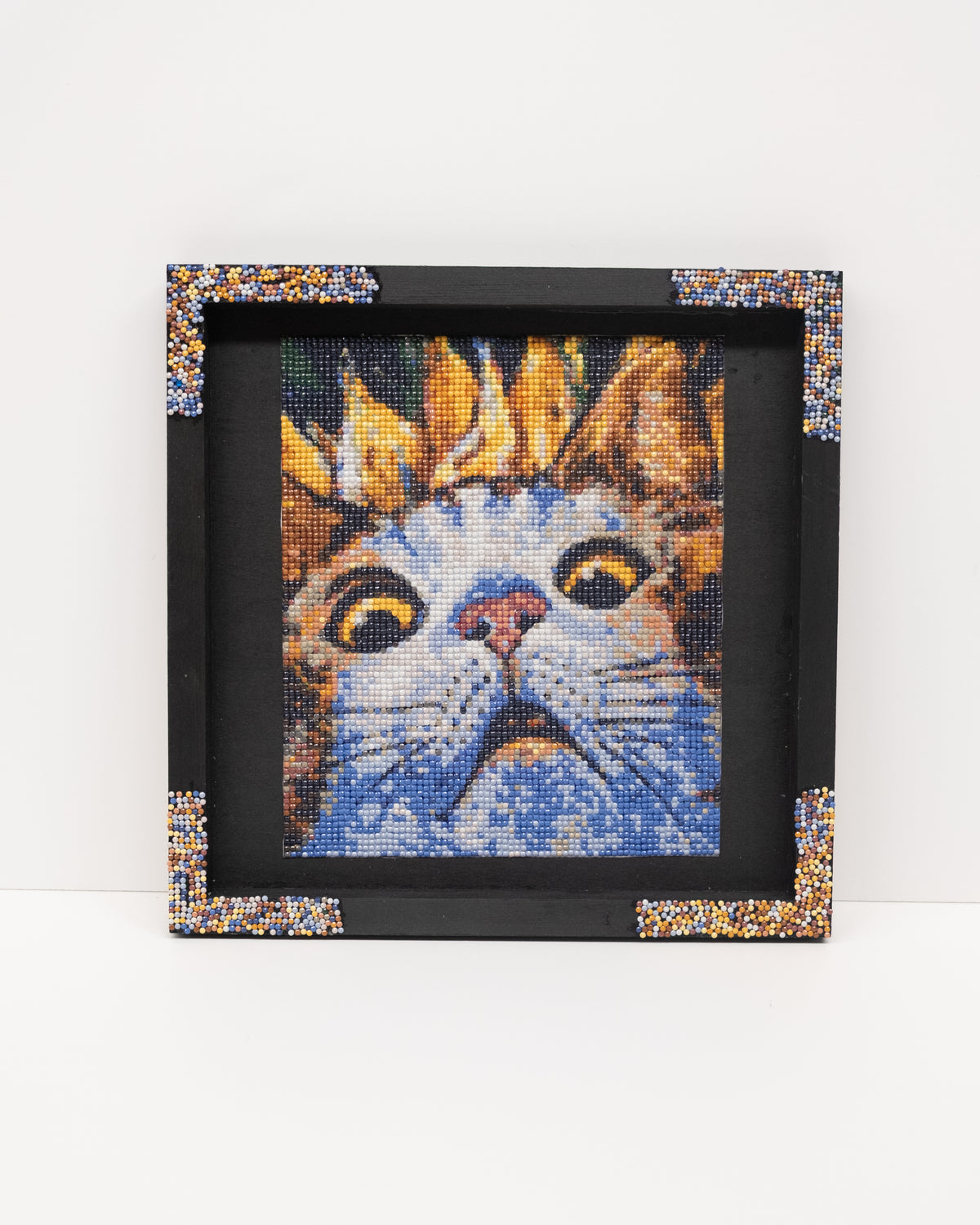 "Cat" Shadow Box