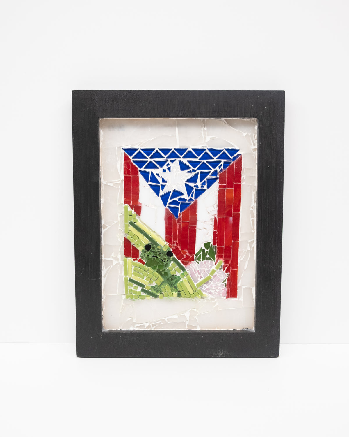"Puerto Rico" Shadow Box
