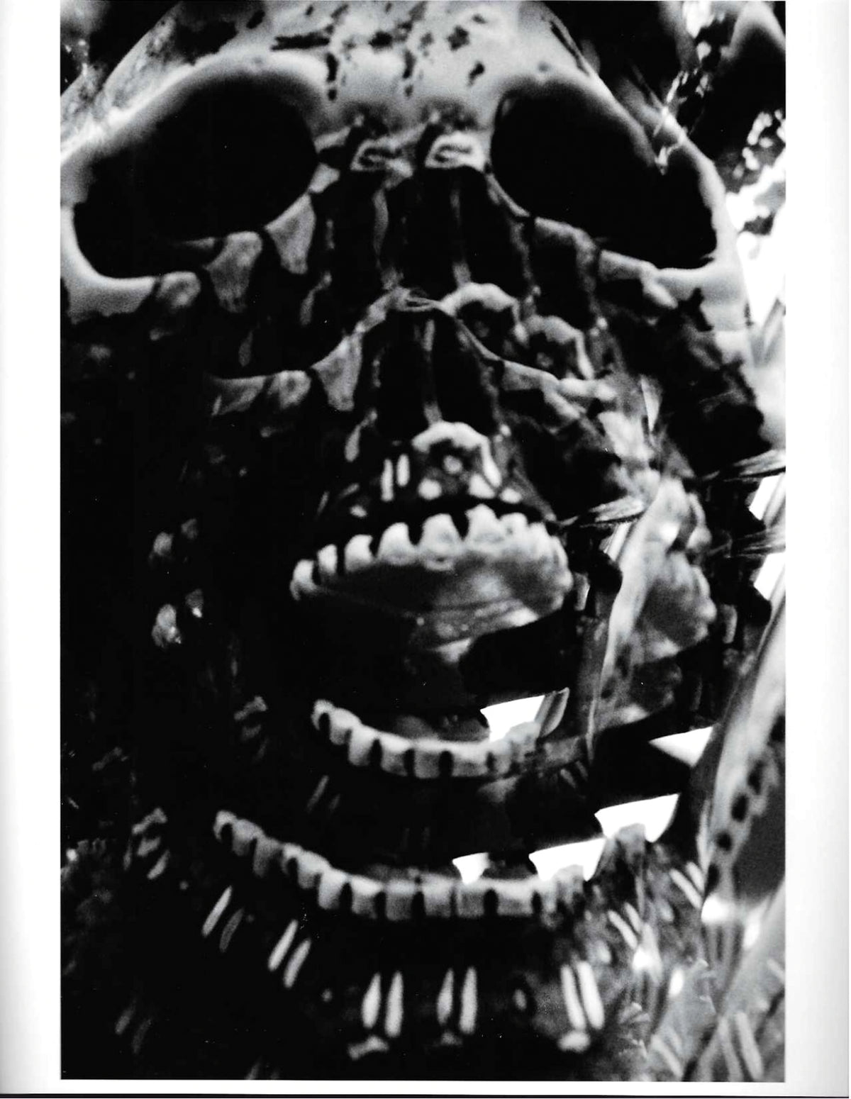 Skeleton Hallucination image 0