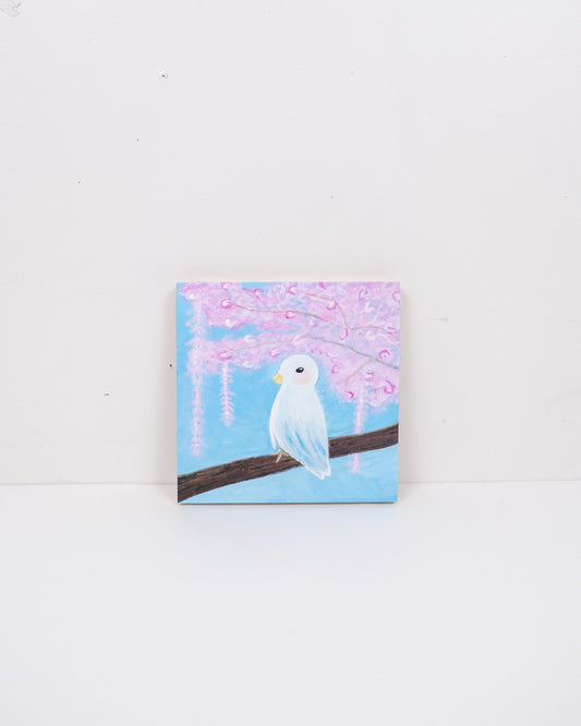 Cotton Candy image 0