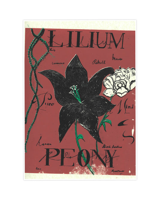 Lillium Peony image 0