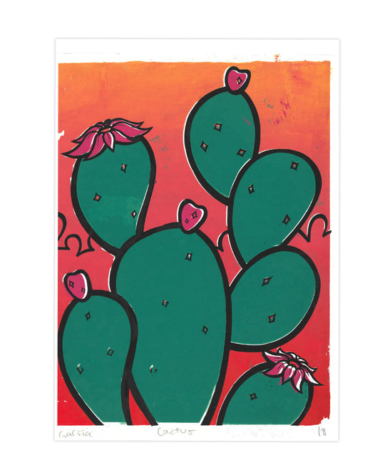 Cactus image 0