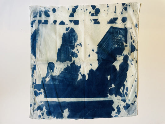 Two Buildings Cyanotype image 0